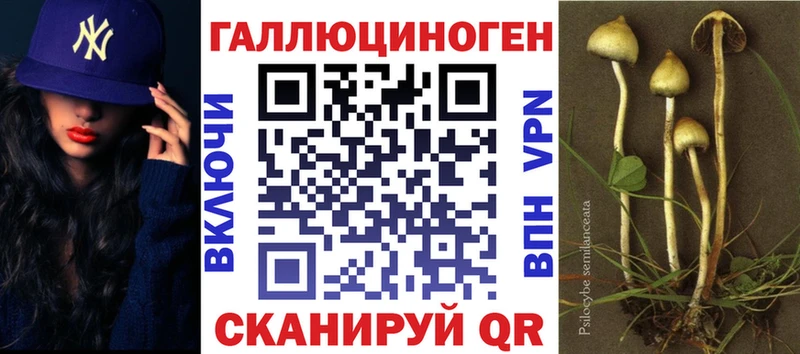 Псилоцибиновые грибы GOLDEN TEACHER  сколько стоит  Эртиль 